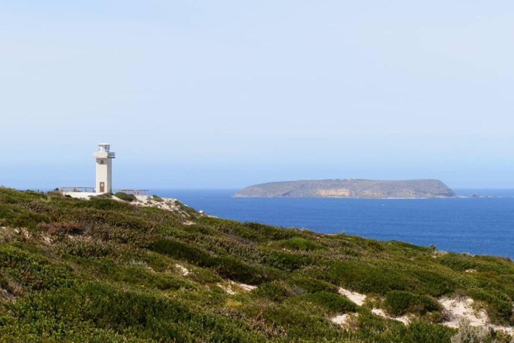 The South Cape Lighthouse stands on a green coastal hill in Innes National Park, overlooking the blue waters of the Southern Ocean. In the distance, an island can be seen under the clear sky, creating a tranquil and scenic view.