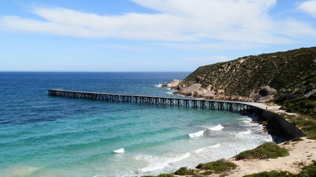 A wide view of the Stenhouse Bay Jetty extending out into the blue waters of the ocean, surrounded by the rugged cliffs of Yorke Peninsula, South Australia. The wooden jetty is framed by a white sandy beach and green coastal vegetation, creating a scenic and peaceful coastal atmosphere.