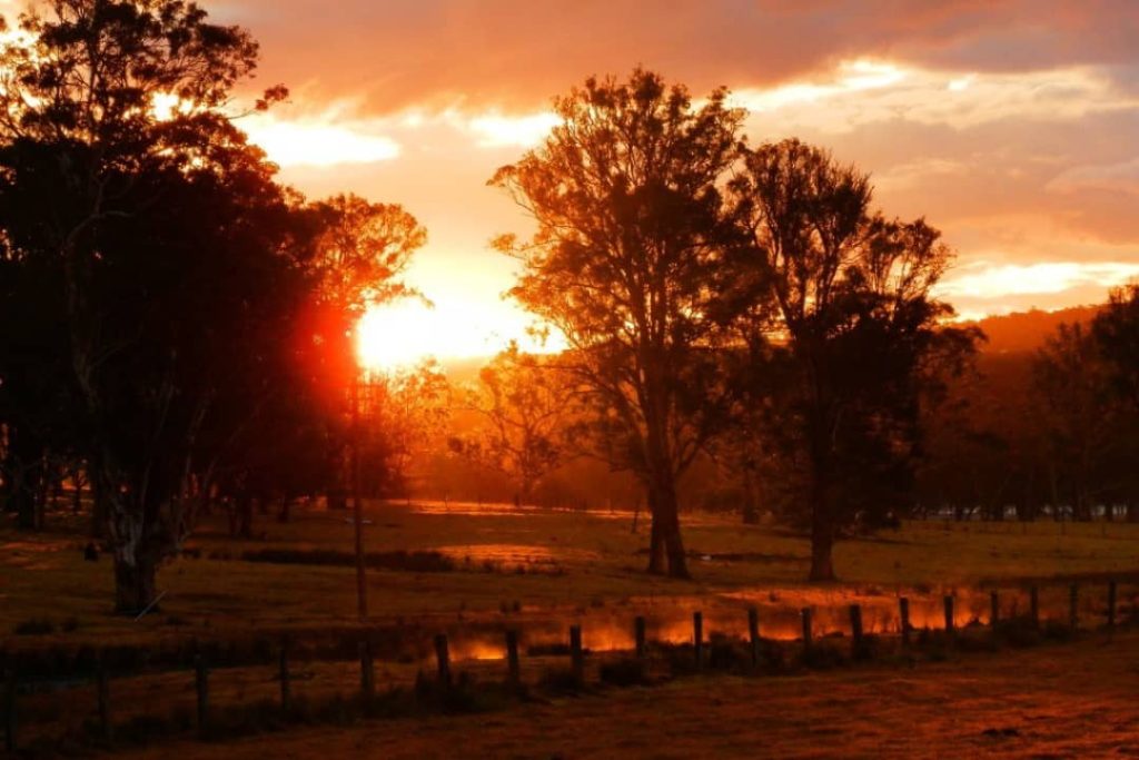 Golden sunset filtering through trees at Woodenbong, New South Wales, with warm evening glow across the fields.