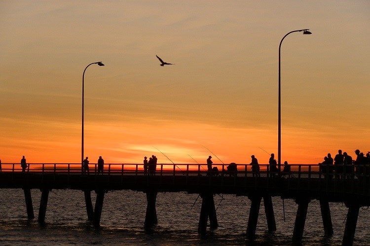 Silhouettes of people and a bird flying near Derby Jetty at sunset, capturing a serene moment ideal for travelers looking for scenic things to do in Derby WA.