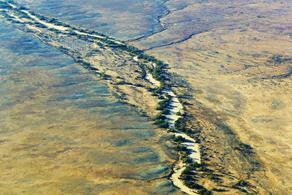 Aerial view of a dry riverbed lined with clusters of green trees, cutting through the barren outback landscape of South Australia.