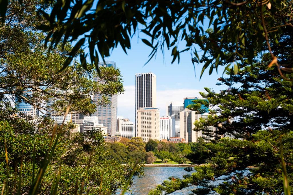 This view from Sydney's Royal Botanic Garden frames the city's skyline through lush trees. The tall buildings of the Central Business District rise in contrast to the natural greenery in the foreground.