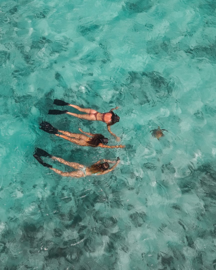 Three snorkelers exploring the turquoise waters of Turquoise Bay with a sea turtle nearby.