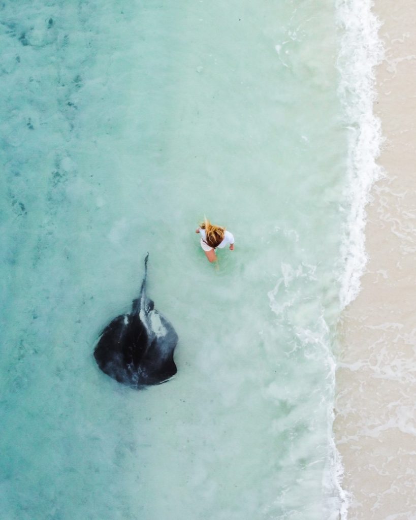 Woman wading next to a stingray in shallow, clear water at Hamelin Bay, Western Australia