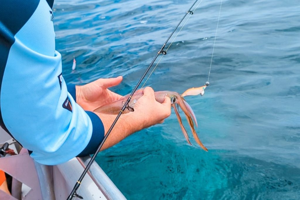 Person holding a freshly caught squid while fishing in Busselton, Western Australia