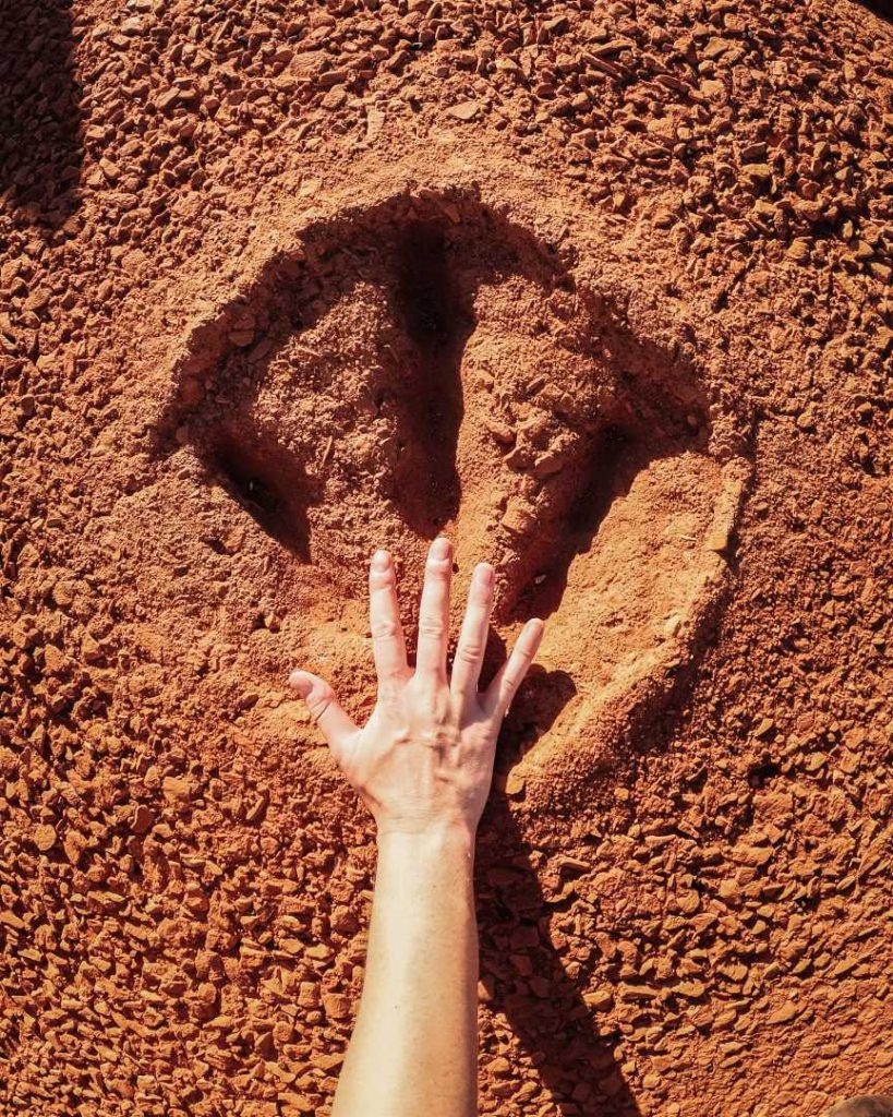 A hand placed next to a large fossilized dinosaur footprint embedded in red earth at Gantheaume Point, Broome, one of the many things to do in Western Australia