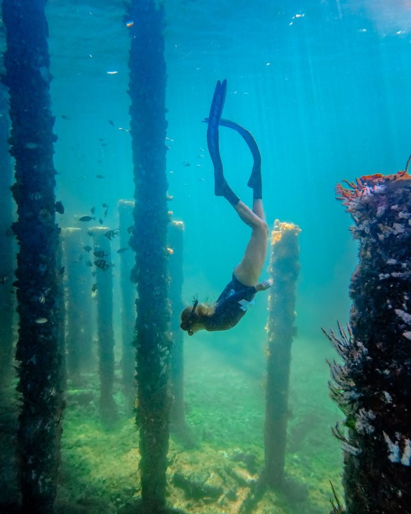A freediver in a streamlined position descends past marine-encrusted pylons beneath Busselton Jetty. The scene captures the serene and immersive experience of exploring the jetty’s underwater environment.