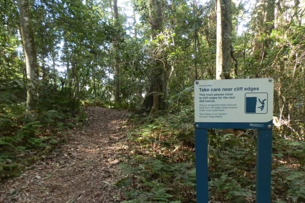 Cunningham’s Gap walking trail with a caution sign about cliff edges, surrounded by dense green forest, Scenic Rim.
