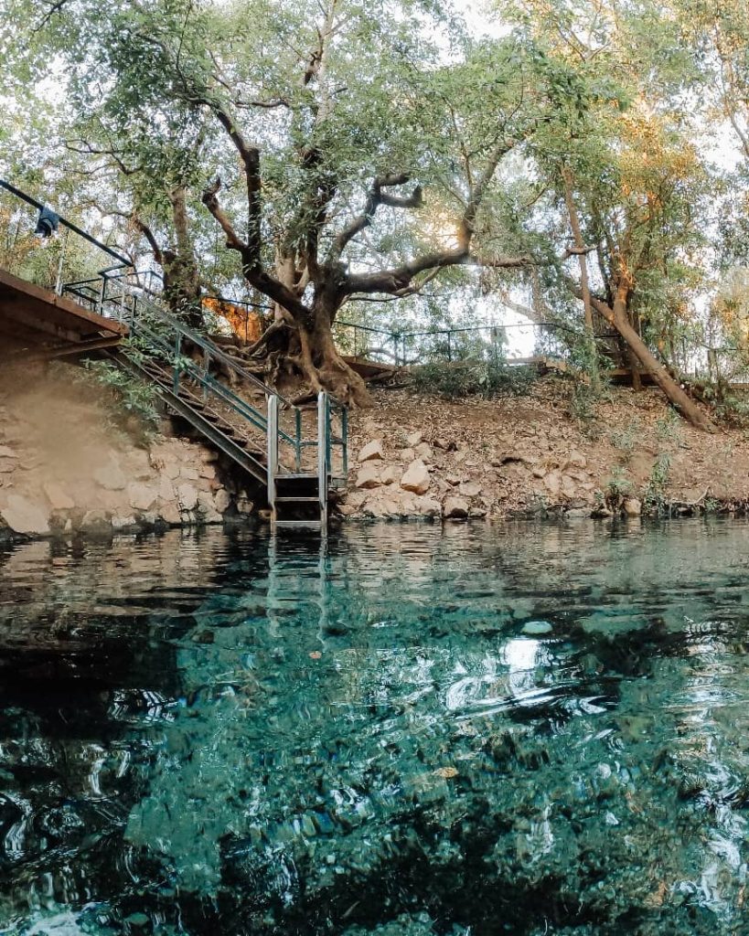 Clear turquoise water at Katherine Hot Springs with trees and a staircase leading down to the water.
