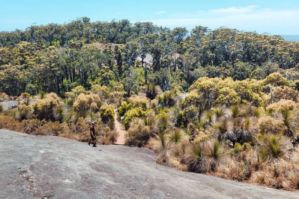 Hiker walking along a rocky path surrounded by lush vegetation on Mount Chudalup, Windy Harbour WA, with dense forest and native plants creating a rich, natural landscape.