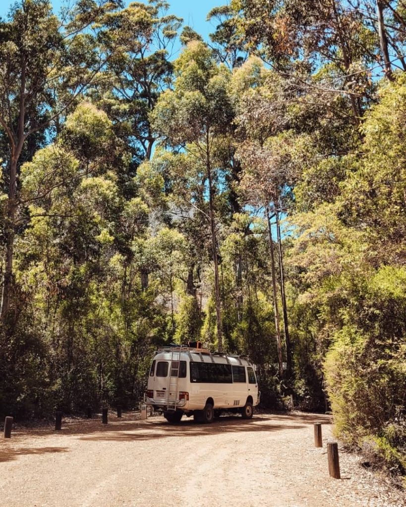 White van parked in a forested area near Mount Chudalup, Windy Harbour WA, surrounded by tall, dense trees under a clear blue sky.