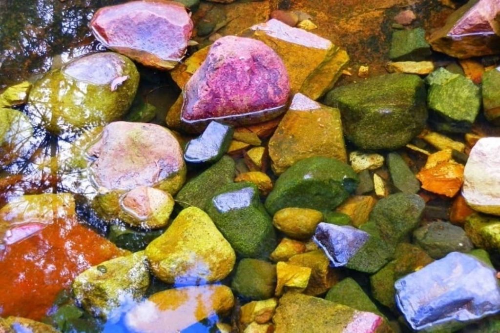 Close-up view of colourful rocks submerged in a creek at Sawn Rocks in Mt Kaputar National Park, NSW, showcasing the vibrant natural hues of the stones.