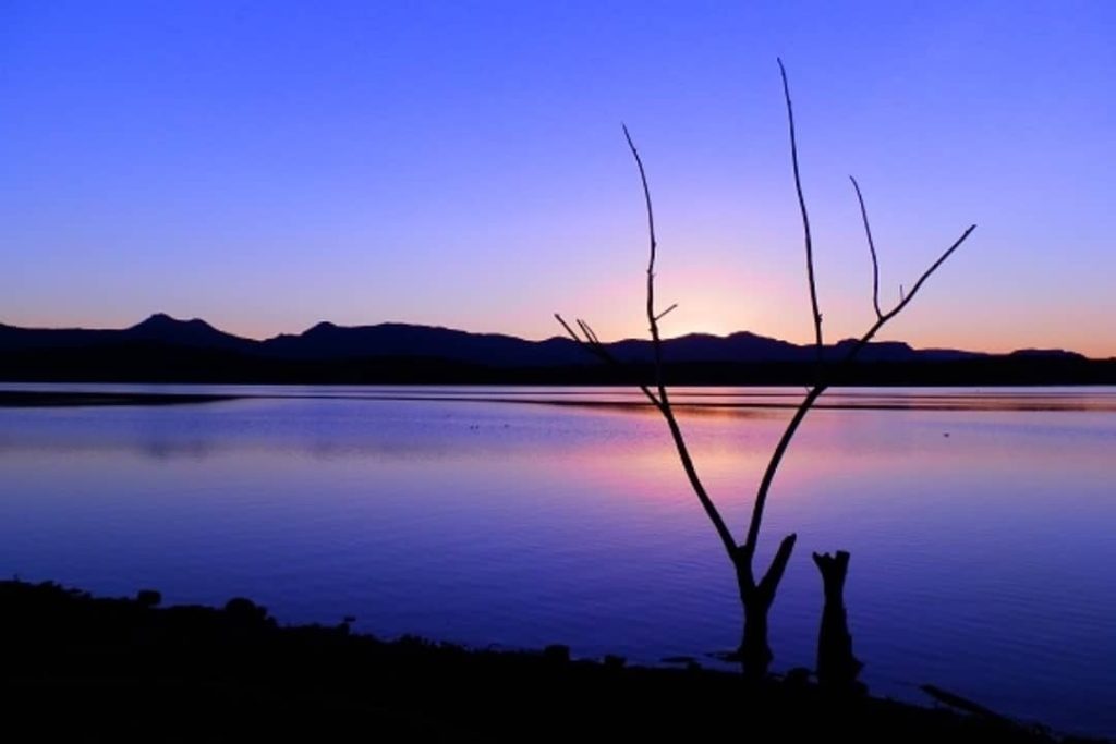 Vibrant sunset over Lake Moogerah with silhouetted mountains and tree branches in the Scenic Rim, Queensland.