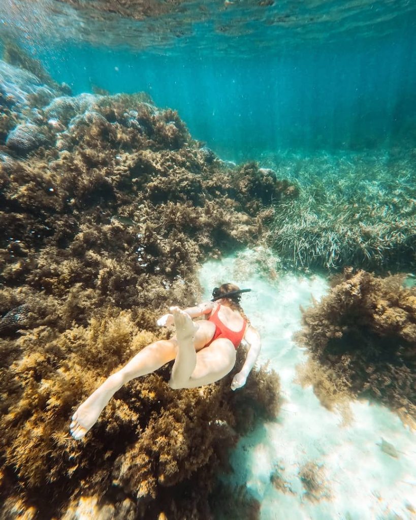 A snorkeler in a red swimsuit explores vibrant underwater reefs surrounded by clear blue waters and seaweed at Rottnest Island.
