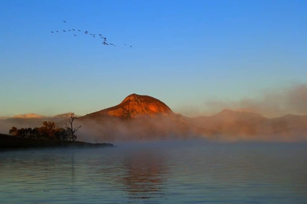 A flock of birds flying at dawn over misty Lake Moogerah with a sunlit mountain in the background, Scenic Rim, Queensland.