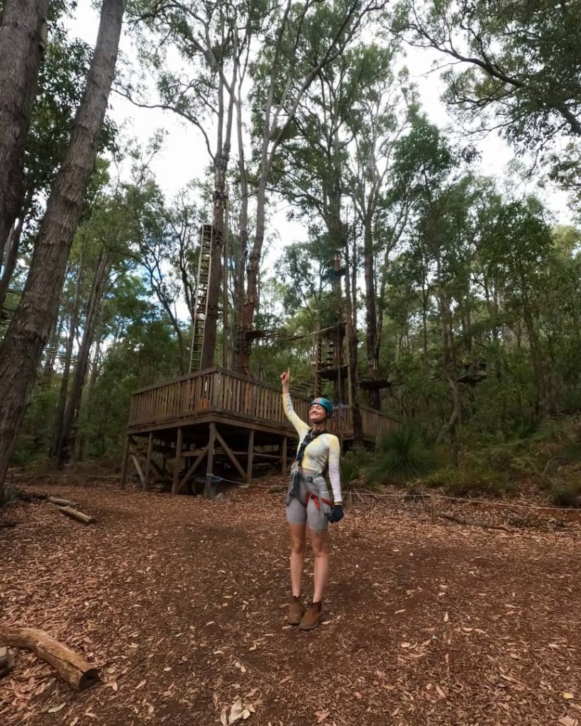 A woman wearing safety gear points up towards a tall, wooden tree-top adventure course nestled in a dense forest, showcasing one of the adventurous things to do in Dwellingup. The surrounding forest, filled with towering trees and natural trails, highlights Dwellingup's appeal as an outdoor recreation destination.