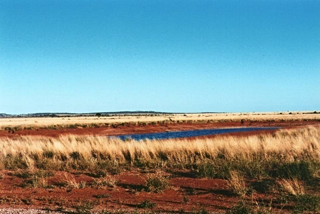 A remote waterhole in the arid landscape of White Cliffs, Outback New South Wales, surrounded by red earth and dry grass.