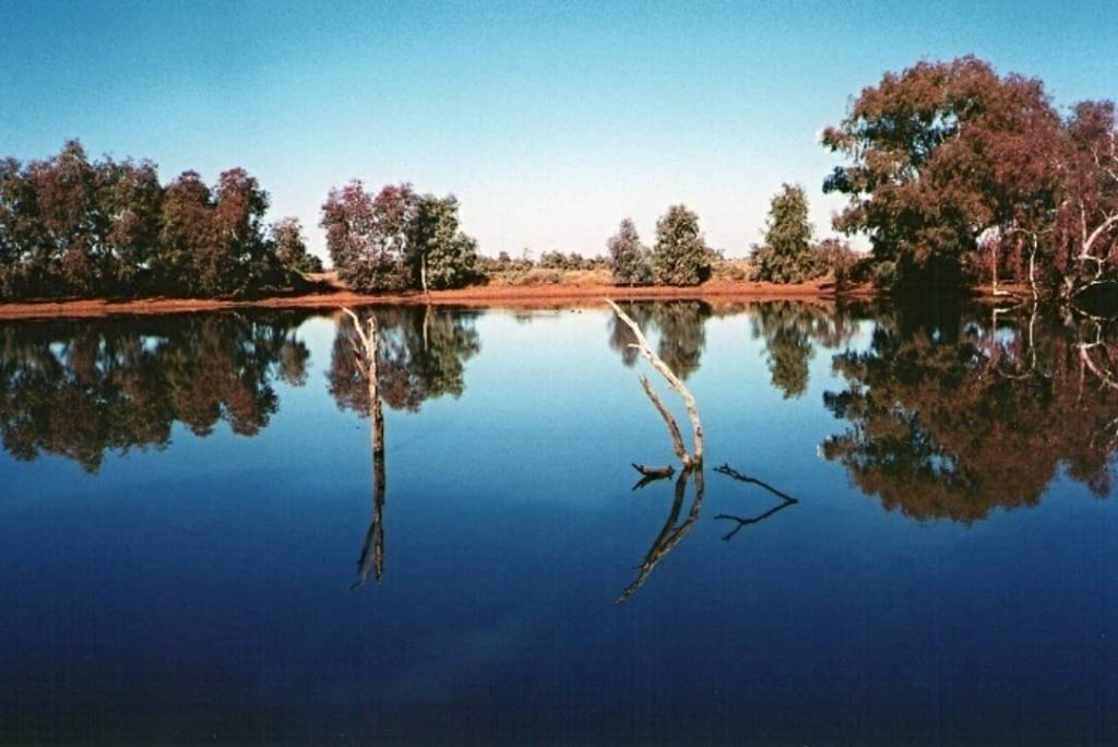 Still waters reflecting trees at White Cliffs Dam, a peaceful spot in New South Wales' outback.