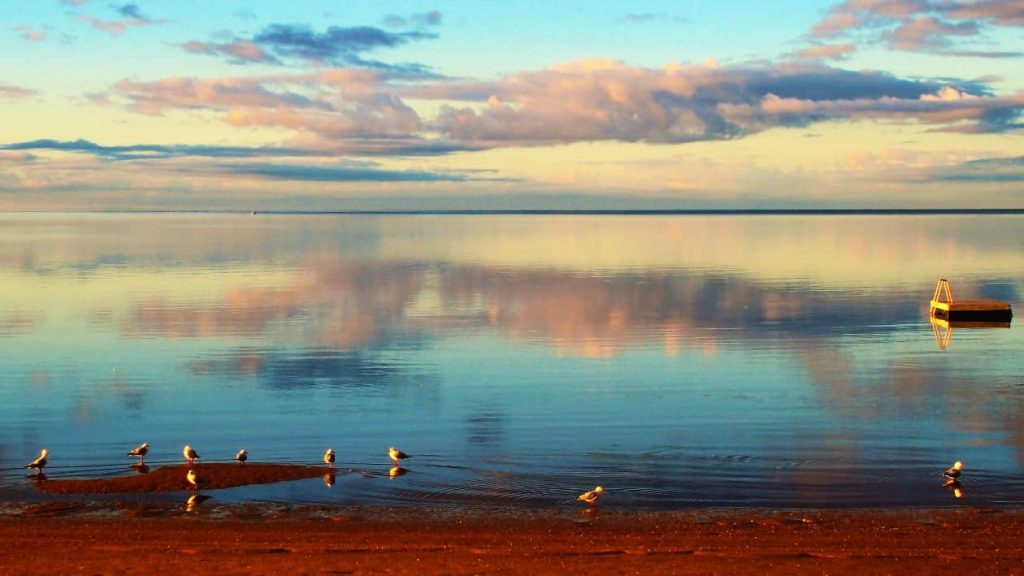 A serene dawn scene at Port Clinton, South Australia, featuring birds wading along the beach under a calm, reflective sky with soft pink and blue hues, and a small floating platform in the distance.