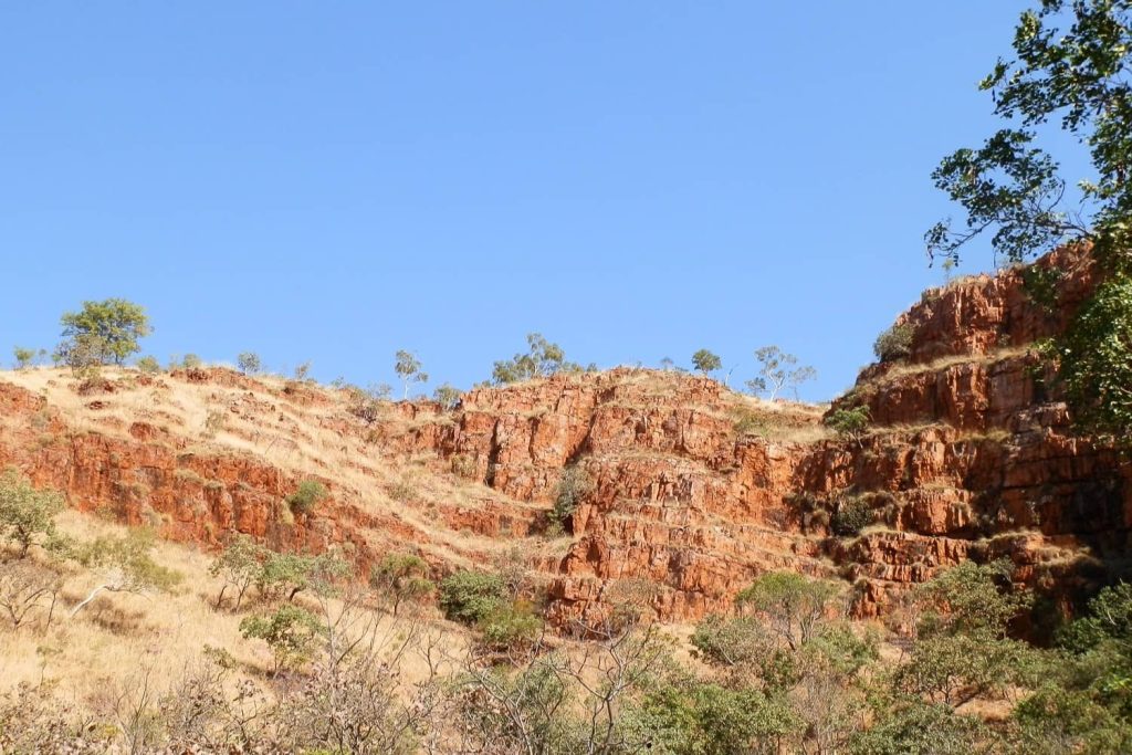 The red, rocky cliffs of Black Rock in Kununurra rise under a clear blue sky, with sparse vegetation dotting the rugged landscape. Trees and dry grasses add contrast, showcasing the arid beauty of the area.