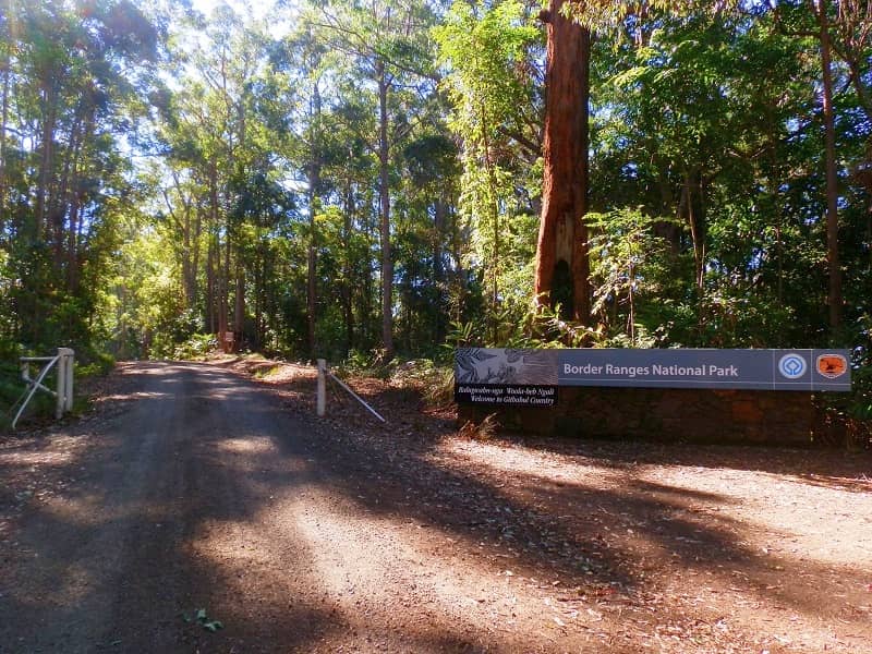 Southern entrance to Border Ranges National Park, featuring lush forest trees and a welcoming sign.