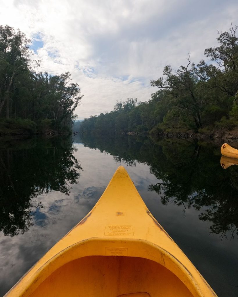 A yellow kayak glides through calm, reflective waters surrounded by dense forest, showcasing peaceful kayaking as one of the things to do in Dwellingup.
