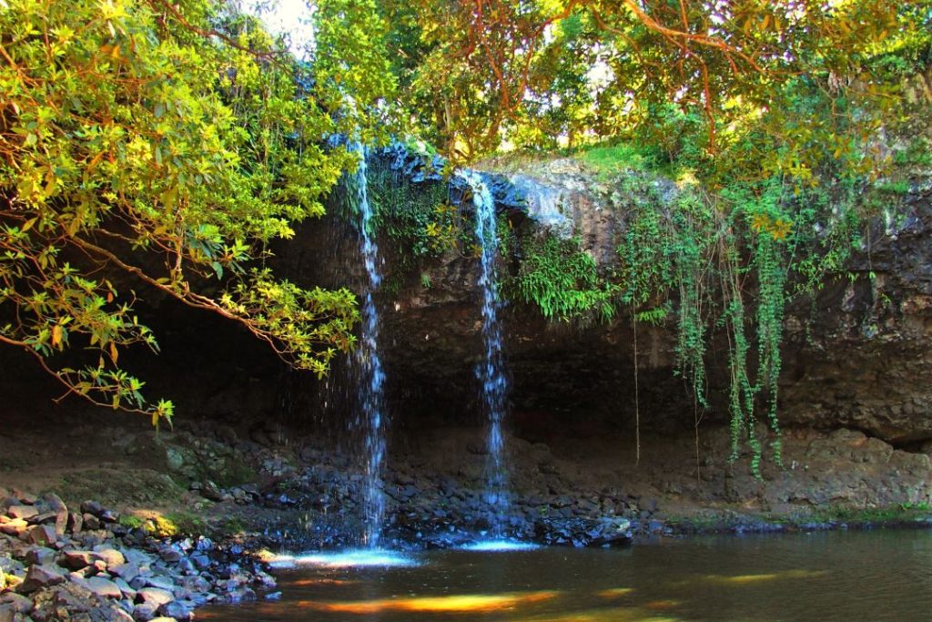 A serene view of Killen Falls near Tintenbar, New South Wales, with water cascading gently over a rocky ledge into a shaded pool, highlighting one of the tranquil things to do in Ballina NSW for nature lovers and hikers.