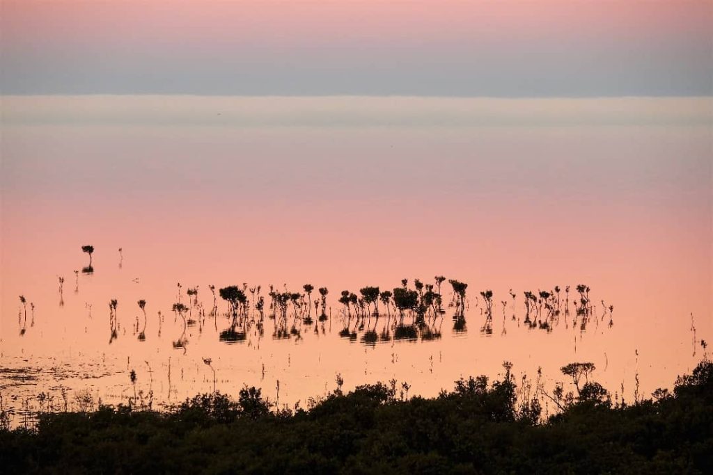 A serene sunset over the mangroves at Port Clinton, South Australia, with pink and orange hues reflecting on calm waters, creating a tranquil and picturesque scene.