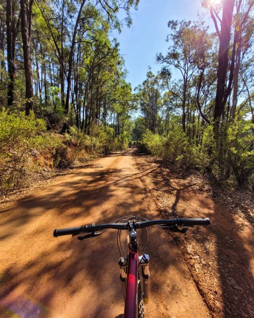 A mountain bike rides along a sunlit dirt trail through dense forest, highlighting the appeal of biking as one of the adventurous things to do in Dwellingup.