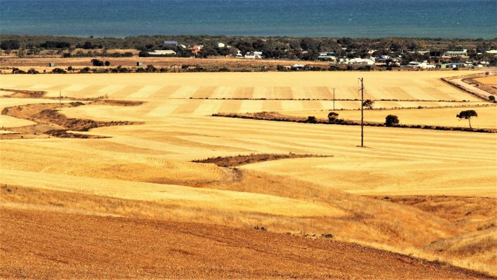 A scenic view overlooking golden farmlands leading to the coastal town of Port Clinton, with St Vincent’s Gulf in the background on the Yorke Peninsula, South Australia.