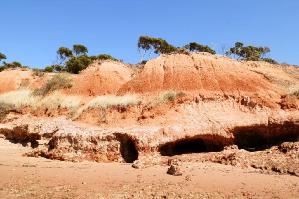 A close-up view of the red cliffs at Port Clinton, South Australia, seen from below, highlighting their rugged texture, natural caves, and vegetation atop under a clear blue sky.