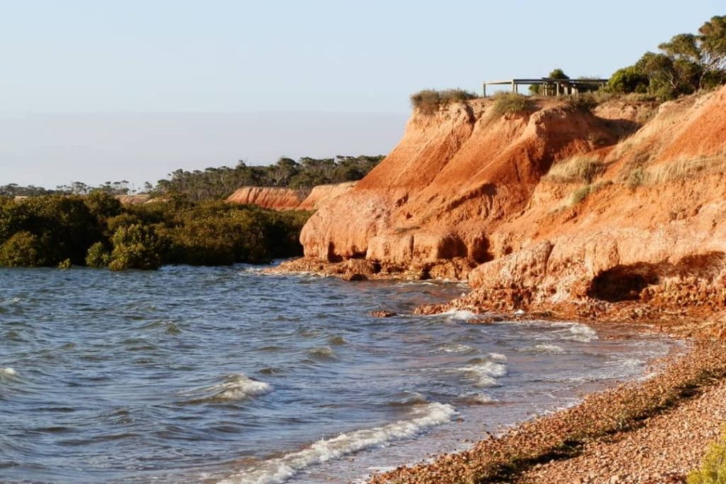 A vibrant view of the Port Clinton cliffs in South Australia, featuring striking red cliffs meeting the gentle waves of the shoreline, with mangroves and clear blue skies in the background.