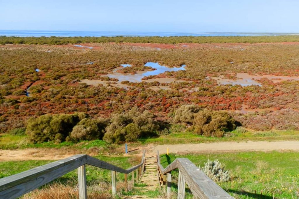 A scenic view from the Price Walking Trail steps in Port Clinton, South Australia, showing a wooden staircase descending toward a vibrant salt marsh with red, green, and brown vegetation, and the ocean visible in the background.