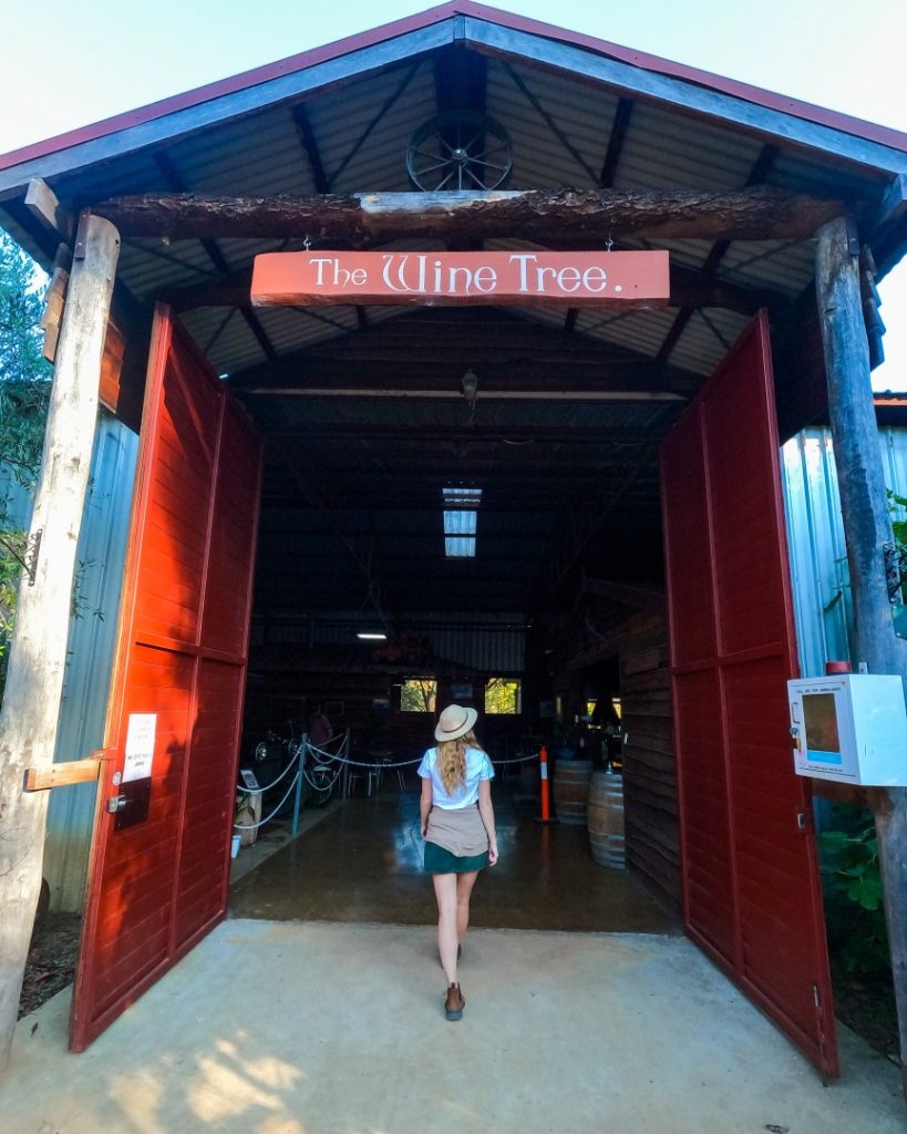 A woman in a hat walks into "The Wine Tree" cidery, a rustic open-door venue with wine barrels and dim lighting inside, showcasing one of the inviting things to do in Dwellingup for wine and cider enthusiasts.