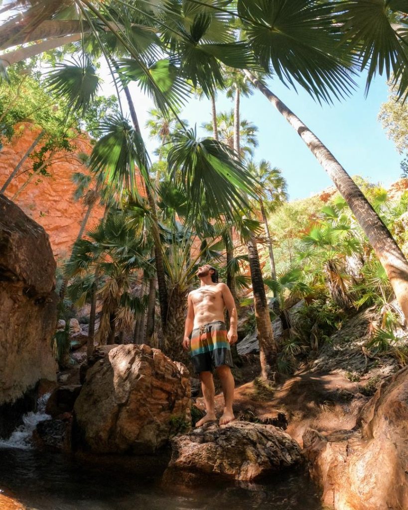 A man standing on a rock surrounded by lush palm trees and sunlight in the rugged landscape of El Questro Station