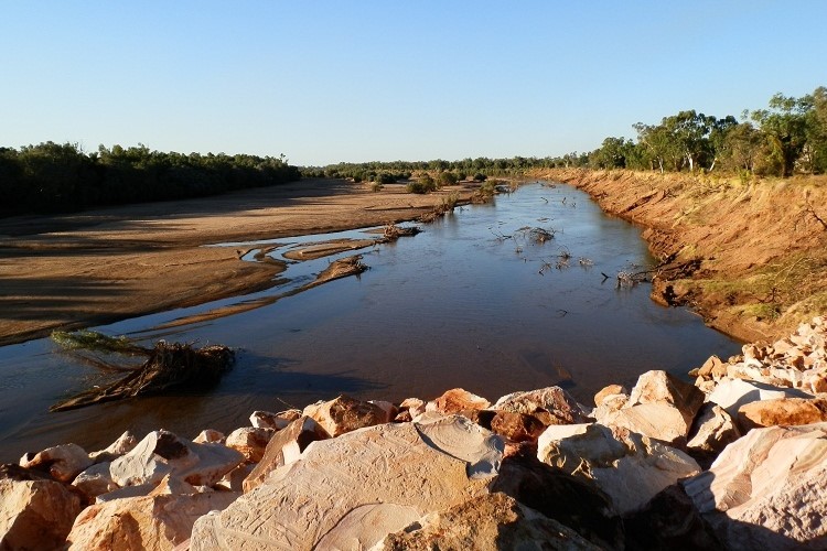 A wide section of the Fitzroy River with shallow water and dry riverbanks, surrounded by trees and a clear sky.