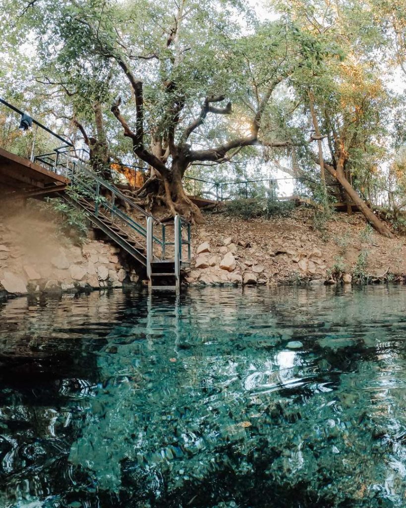 A tranquil pool of clear blue water at Katherine Hot Springs, surrounded by trees and a staircase leading into the water.