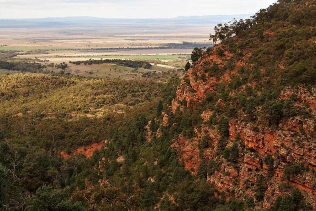 A view of a rugged red bluff with dense greenery, overlooking expansive plains in the distance, captured on the return hike from Dutchman’s Stern in South Australia.