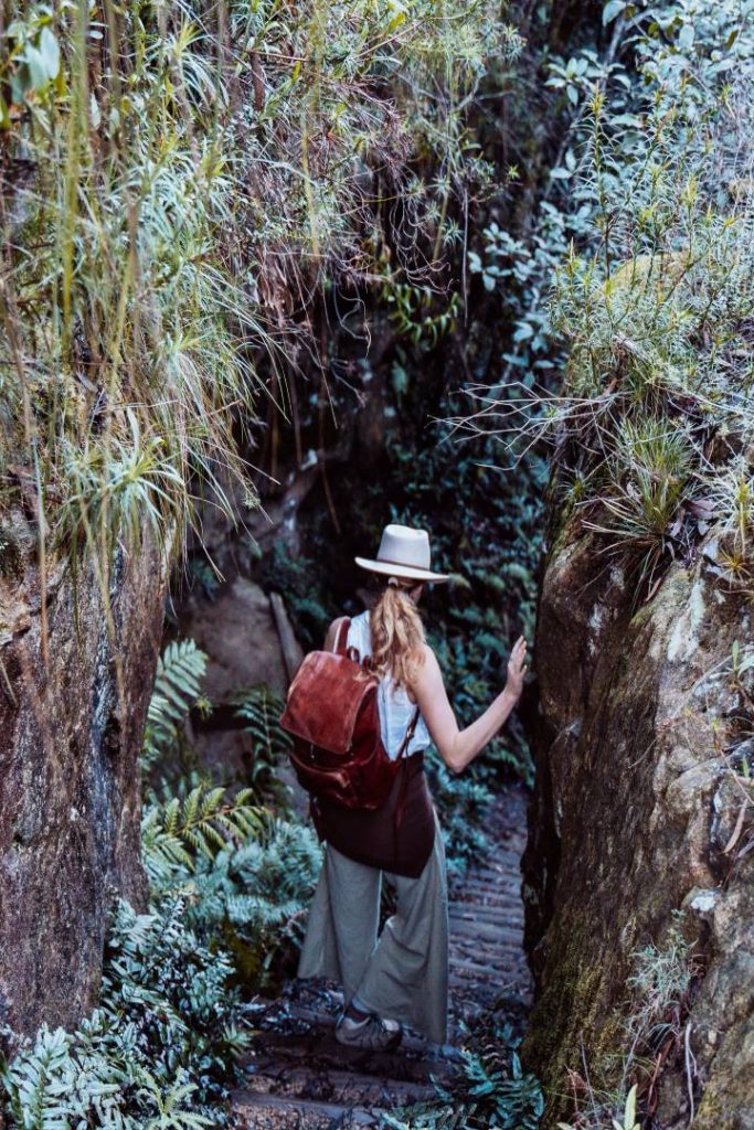 A person wearing a wide-brimmed hat and a backpack descends a set of stone steps surrounded by lush ferns and vegetation in the Blue Mountains. The scene reflects a tranquil hiking experience, especially enjoyable in spring when the greenery is vibrant and the weather is ideal.