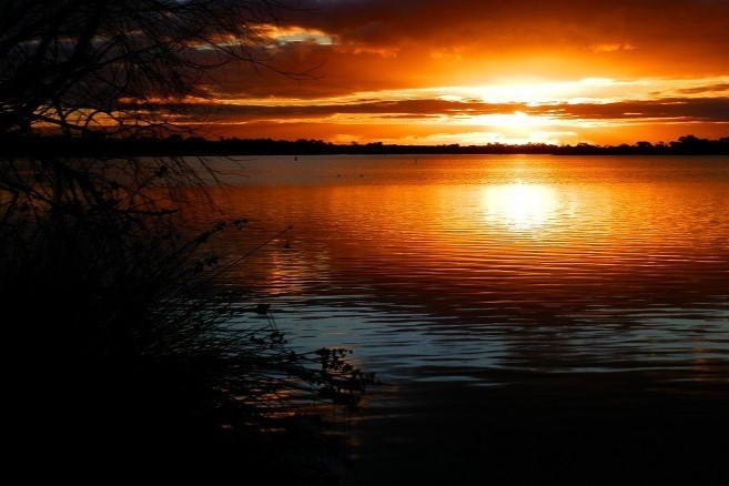 A golden sunset over Lake Cullulleraine in Victoria, Australia, with the glowing sky reflected on the calm water and silhouetted reeds.