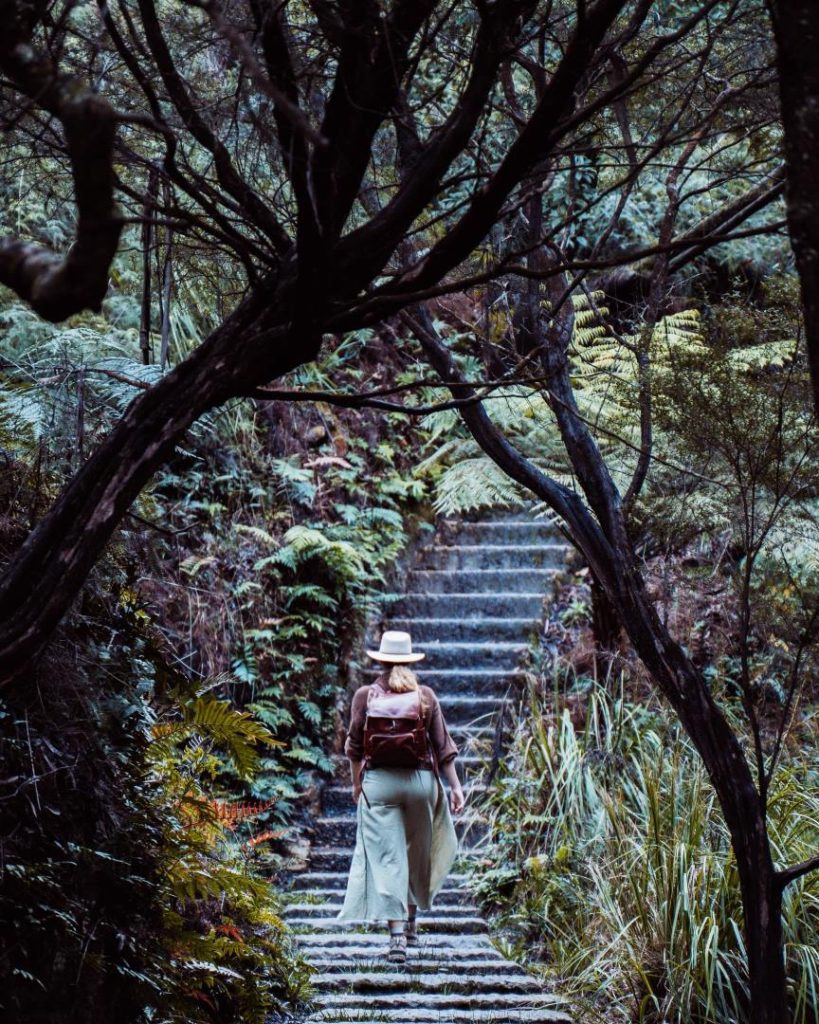 A hiker walking up a stone staircase surrounded by lush greenery and trees on the Leura Cascades Infinity Pool hike, a hidden treasure in the best tours in the Blue Mountains. The serene forest pathway invites exploration.