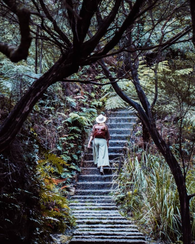 A hiker wearing a white hat and backpack ascends a stone staircase along the Grand Canyon Track in the Blue Mountains, NSW. The trail is surrounded by dense ferns, towering trees, and moss-covered rocks, creating a lush and enclosed rainforest atmosphere. The winding path disappears into the greenery, adding to the sense of adventure and seclusion.