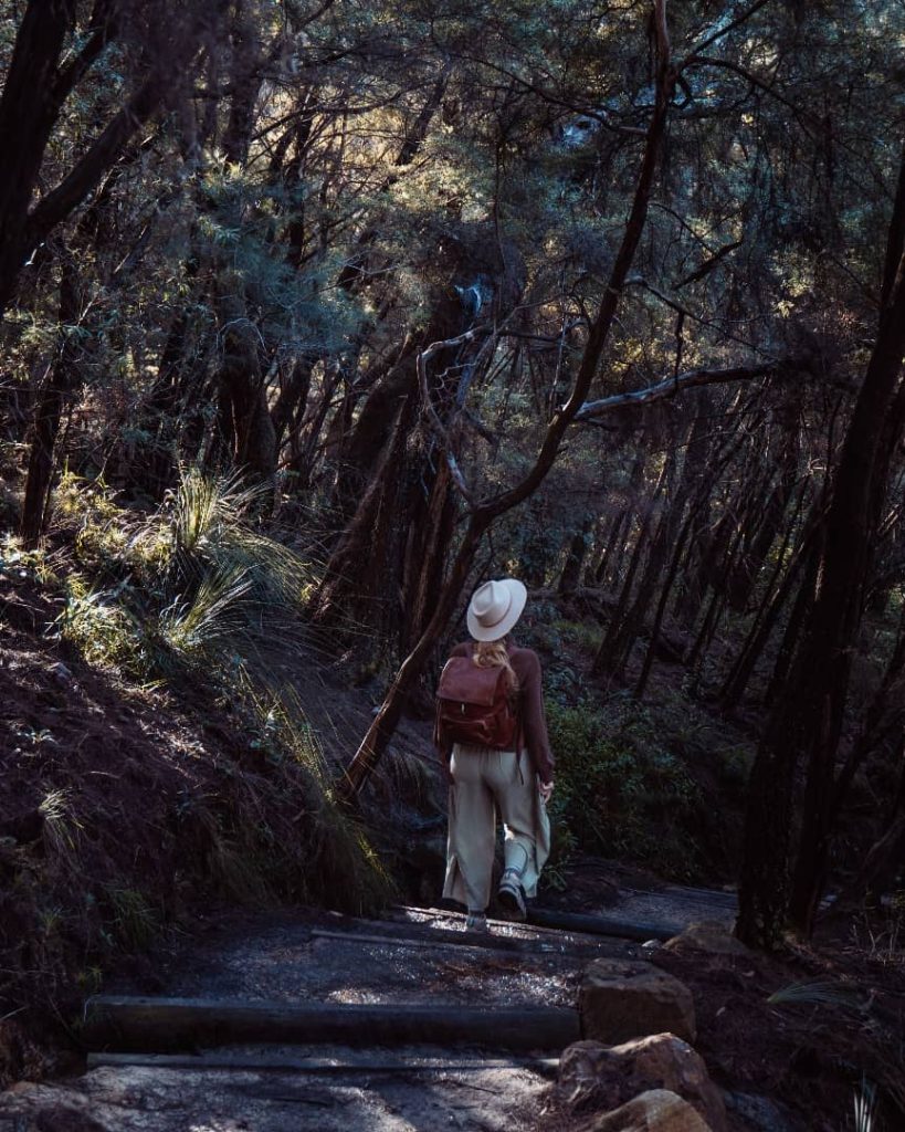 A hiker wearing a white hat, light-colored pants, and a brown backpack walks along a forest trail in the Blue Mountains, NSW. The path is lined with tall trees, dense foliage, and wooden steps, creating a serene, shaded atmosphere. Dappled sunlight filters through the canopy, casting soft light on the rugged terrain.