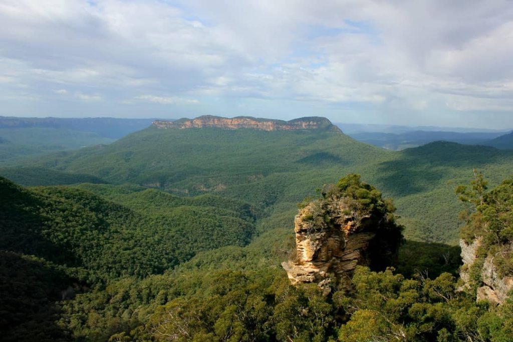 A sweeping view of the Jamison Valley in the Blue Mountains, NSW, showcasing rolling green forests and towering sandstone cliffs. A distinctive rock formation covered in vegetation rises in the foreground, while the vast valley extends into the horizon under a partly cloudy sky. The rugged beauty of the landscape highlights the untouched wilderness of the region.