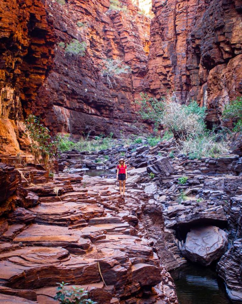 A hiker walks through Knox Gorge's rocky floor, surrounded by steep red walls and lush patches, showcasing the terrain during the best time to visit Karijini for gorge hiking.