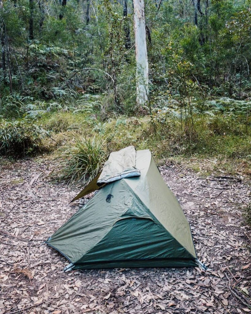 A green tent is pitched in a peaceful forest clearing surrounded by dense ferns and eucalyptus—camping here is one of the top things to do in the Blue Mountains for nature lovers.