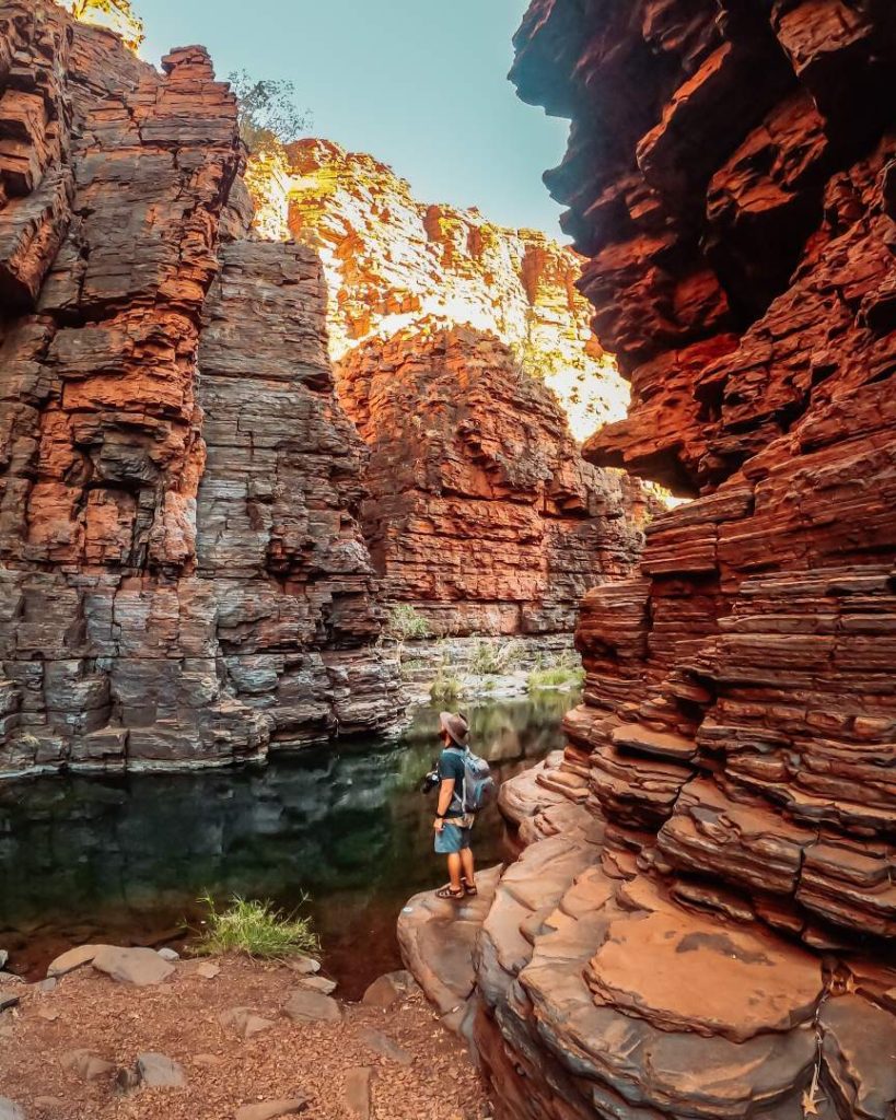 A hiker stands at the edge of a calm waterhole in Joffre Gorge, surrounded by towering red cliffs and rugged rock formations in one of the best gorges in Karijini. The morning light illuminates the gorge walls.