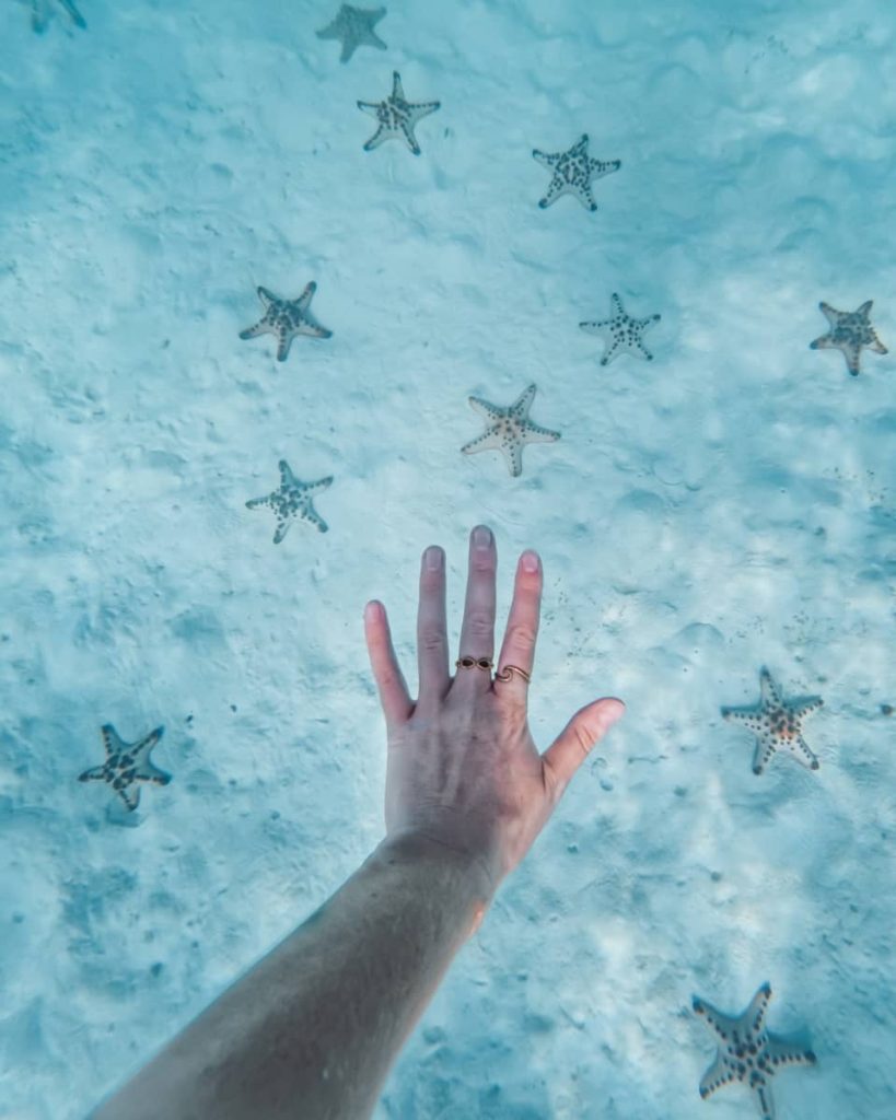 A hand reaches out underwater toward spotted starfish scattered on the sandy seafloor, showcasing the vibrant marine life seen on the best snorkelling tours in Coron.