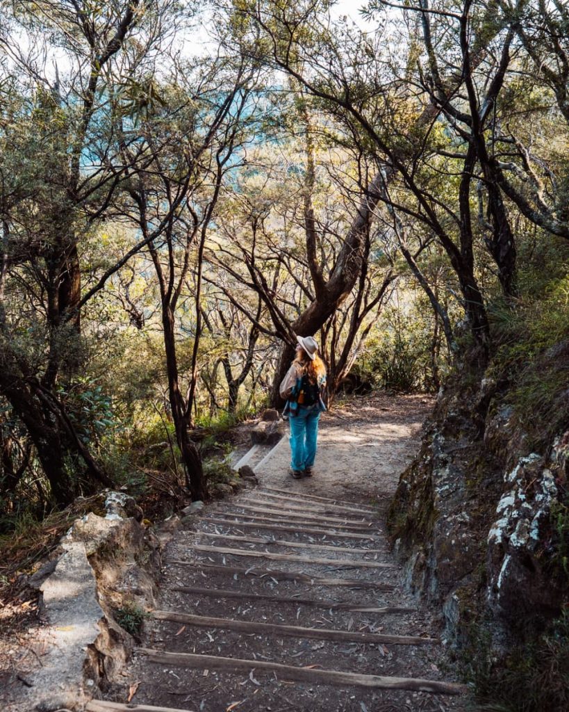 A woman hikes down timber stairs surrounded by tall trees and dense bushland on the Leura Cascades walking track, a peaceful highlight for a Blue Mountains weekend getaway.