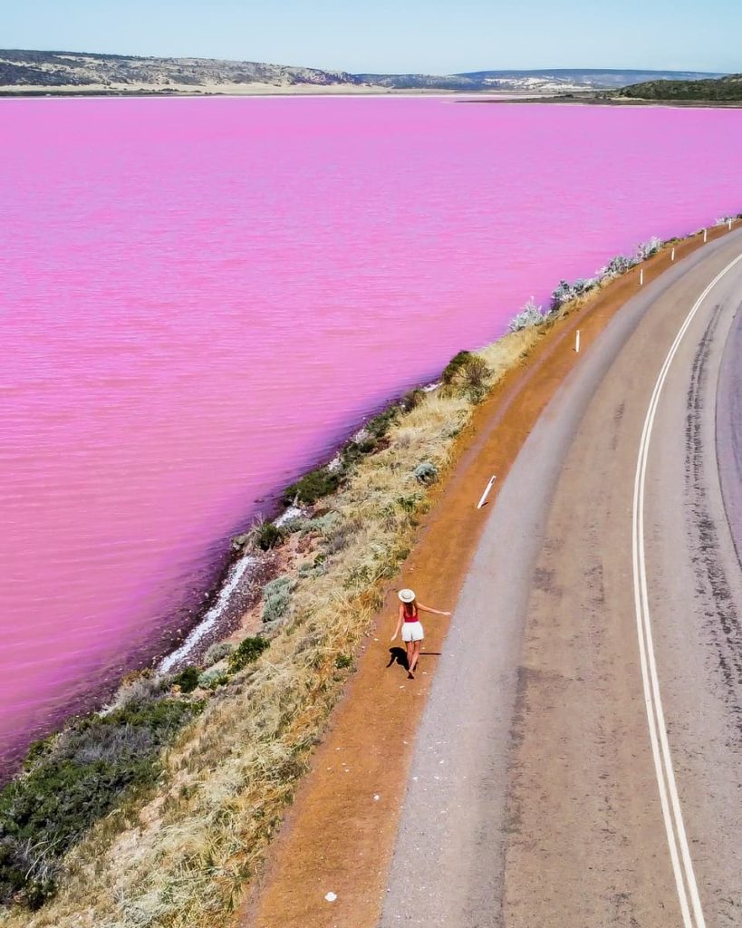 A bright pink lake near Kalbarri in Western Australia, with a woman walking alongside the road—a surreal and colourful detour on road trips in Australia.